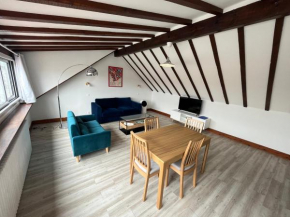 Grand studio 65m² à Saint-Esprit, Bayonne - WiFi, près gare - FR-1-239-996